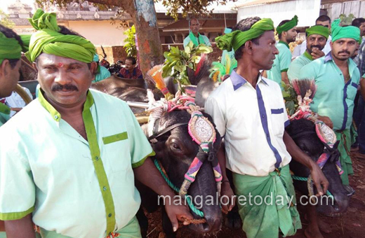 Kambla protest in moodbidri